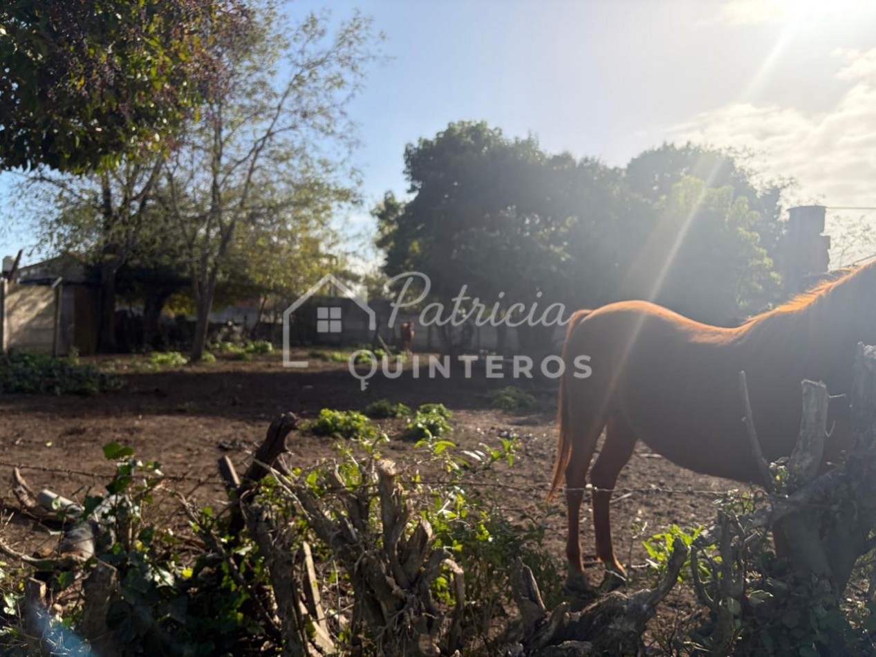 terreno baldio en venta