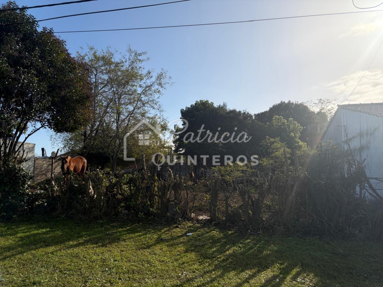 terreno baldio en venta