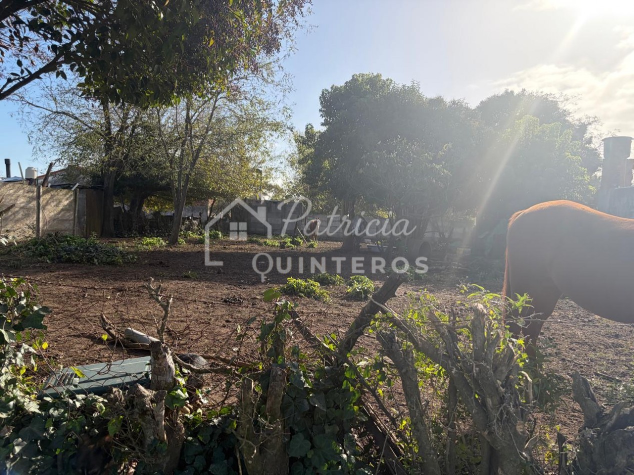 terreno baldio en venta